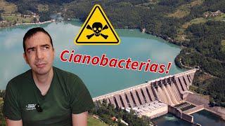 Toxinas☣️ nos encoros galegos galego subt🇪🇸🇬🇧 [upl. by Nibbor]