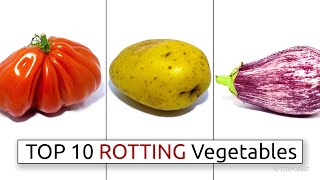 Top 10 Rotting Vegetable Timelapses [upl. by Namhcan]