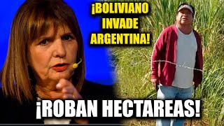 💥BOLIVIANO ROBA 2500 HECTÁREAS Y LOS ANEXA A BOLIVIA 💥BULLRICH LOS SACA CAGANDO [upl. by Nwahsauq629]