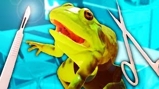 FROG GETS CHOPPED UP  Dissection Simulator Frog Edition VR [upl. by Enylhsa]