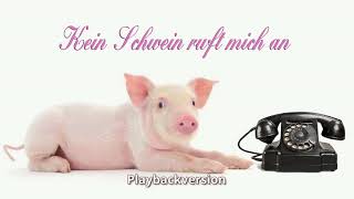 Kein Schwein ruft mich an Instrumentalversion [upl. by Nnywg]