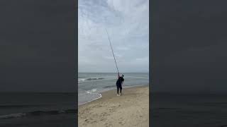 Cannolicchio in pendulum fishing fish surffishing longcasting surfcasting pesca beach angler [upl. by Jean]