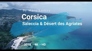 Corsica  Saleccia amp Désert des Agriates  Drone HD Video [upl. by Lorita451]