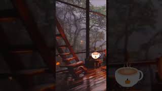 Autumn Ambience Rain Sounds shortvideo autumn ambience [upl. by Akenahs]