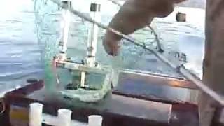 Mackinaw fishing Tahoe trolling downrigger secrets tips [upl. by Kilmarx]