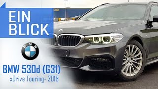 BMW G31 530d xDrive 2018  Als Touring ein echtes MULTITALENT [upl. by Yawnoc396]