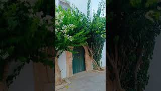 djerba ete 2024❤😍 circuit video travel hotel tunisie [upl. by Anneres]