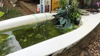 UPcycled vintage Sail Boat into Koi Fish Pond [upl. by Graniah]