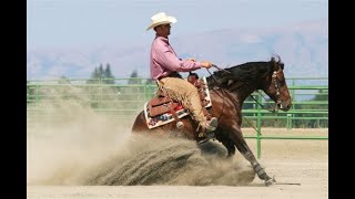 REINING COMPETITION AT THE KHP [upl. by Ehcor]