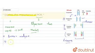 Explain the importance of PCR  CLASS 12  BIOTECHNOLOGY  PRINCIPLES AND PROCESSES  BIOLOGY [upl. by Ledua]