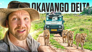 14 Tage Safari PUR im Okavango Delta in Botswana [upl. by Ehgit]