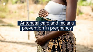 WHO antenatal care policy and prevention of malaria in pregnancy in subSaharan Africa [upl. by Nelac]