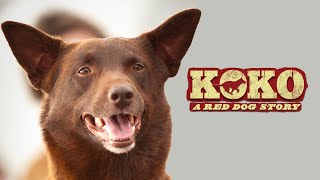 Koko A Red Dog Story  Full Movie  WATCH FOR FREE [upl. by Ninaj]