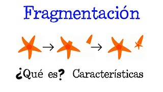 💥 ¿Qué es la Fragmentación 💥 Fácil y Rápido  BIOLOGÍA [upl. by Rehm]