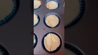 Mini Cheesecakes Made from Scratch [upl. by Teteak476]