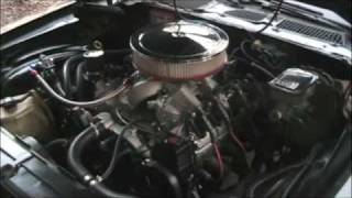 Pro touring LQ4 swapped 1981 Z28 idling [upl. by Inama]