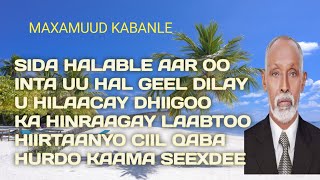 kabanle  maxamuud kabanle hees sida halable aar  maxamed yare  maxamuud m xasan kabanle heeso [upl. by Alilak]