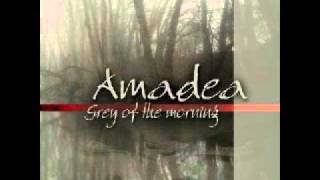 Amadea Immortality [upl. by Anavoj]