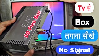 DD Free Dish Box Ko Tv Se Kaise Connect Karen  Box Tv Se Kaise Connect Karen  Free Dish Reset 2024 [upl. by Anaib]