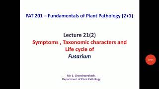 Lecture 21 2  Symptoms and life cycle of Fusarium and Verticillium PAT 201 [upl. by Whitcomb]