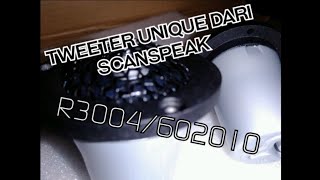 Tweeter ScanSpeak Illuminator Series R3004602010 [upl. by Eenal]