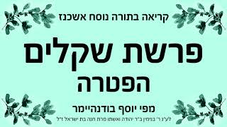 פרשת שקלים  הפטרה  נוסח אשכנז [upl. by Chick478]