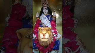 to maro dariyu Gujarati song trending viral video harsiddhi Mata [upl. by Levitan]