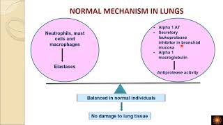 Emphysema Pathogenesis [upl. by Jegar496]