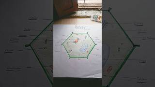 Plant cell diagram like and subscribe [upl. by Aria]