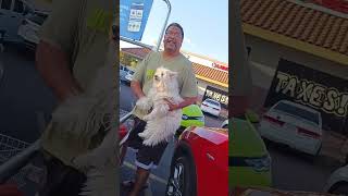 Dog left in hot car no AC confronted owner 105 in Las Vegas June 14th 2024 [upl. by Atteuqnas62]