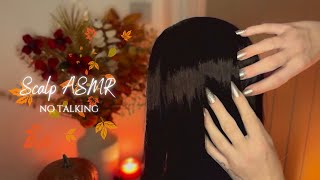 ASMR Hair Scalp amp Head Scratching using my Long Nails amp Fingertips 🍂 Crispy amp Crunchy Sounds [upl. by Nnylannej]