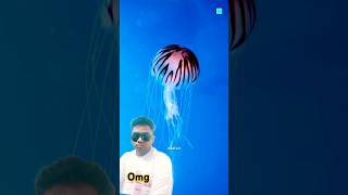 jellyfish interestingfacts ocean new amazingfacts dastan latest facts [upl. by Germayne]