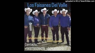 Los Faisanes Del Valle Soledad [upl. by Jere]