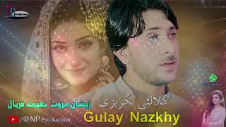 Pashto New Song 2024 Gualy Nazkhy  Niama Faryal amp Zeeshan Marwat  Ulfat JanOfficial [upl. by Adaline]