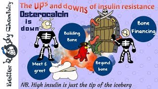 Osteocalcin in insulin resistance [upl. by Libenson]