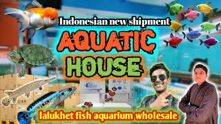 fish aquarium lalukhet  aquatic house lalukhet fish aquarium market Karachi Pakistan update 🐟🐠🦐🐢 [upl. by Sorci]