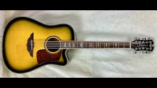 10 string cittern conversion of a dreadnought guitar [upl. by Kcirej939]