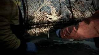 Deadliest Catch Season 5 Promo short [upl. by Herbst]