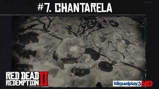 Localización Chantarela  7Compendio Plantas  Red dead redemption 2 [upl. by Solon167]