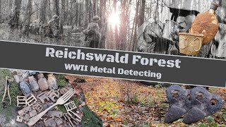 WW2 Metal Detecting  Reichswald Forest [upl. by Asilrahc]