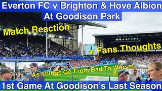 EVERTON V BRIGHTON  GOODISON PARK  MATCH VLOG [upl. by Eisso454]