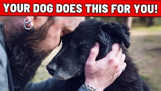 9 Shocking Things Your Dog Does for You Every Day Most Dog Owners Dont Notice This [upl. by Nodnerb]