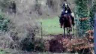 Brosna Foxhounds  Fox Hunting in Daingean  Part 1 [upl. by Inalaehak]