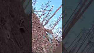 Close call with an 82mm mortar drone war ukrainianarmy army soldier ukraine russia [upl. by Hnirt787]