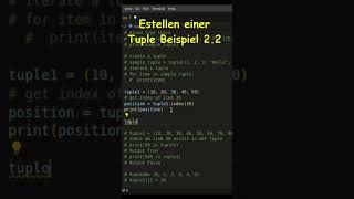 Python Kurs 17  Tupel Beispiel 2 2 [upl. by Onil]