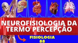 NEUROFISIOLOGIA DA DOR E TERMORRECEPÇÃO FISIOLOGIA DE GUYTON NOCICEPÇÃO E FISIOLOGIA DA DOR [upl. by Estevan]