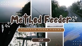 Method Fishing Feeder Pe Lacul Nucetu este live [upl. by Anelliw16]