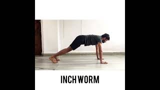 How to Do the Inch Worm Exercise Enhance Flexibility and Core Strength [upl. by Durware]