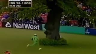 Beautiful Tree Inside Cricket Stadium  GreenGTv [upl. by Niknar]