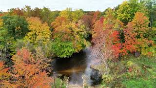 Drone Video of Fall Colors at Losensky Park in Niles Michigan [upl. by Alie356]